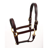 Leather Halter CK Brown